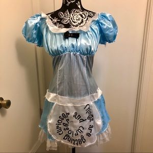 Alice in Wonderland Halloween Costume